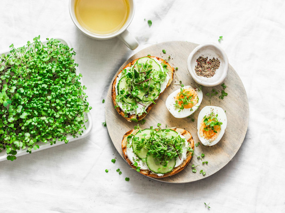 Wraps avocat, houmous et crevettes, salade fattouche… Votre menu healthy de la semaine du 18 au 22 juillet par 750green
