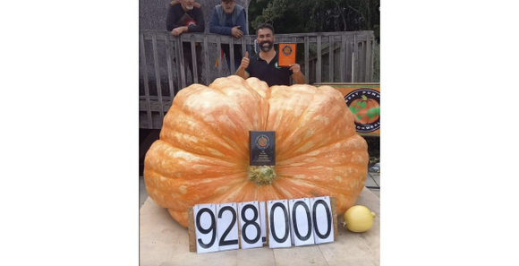 Capture d'écran Facebook - Les tomates de Spay. Mehdi Daho