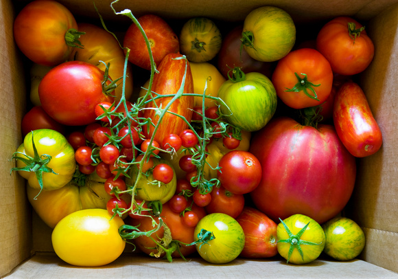 On profite des dernières tomates de saison avec ces idées