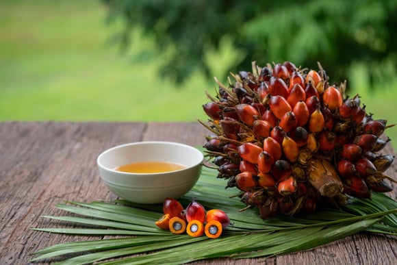 L'Indonésie suspend son exportation d'huile de palme, quelles conséquences pour la France ?