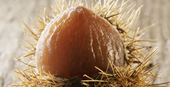 Comment sont fabriqués les marrons glacés