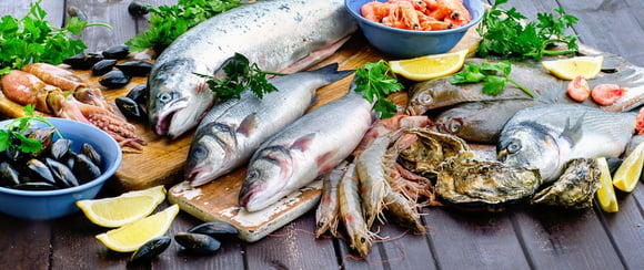 Quels sont les poissons de saison en hiver ?