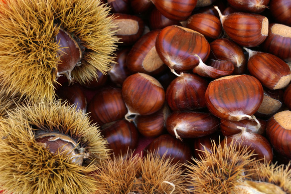 Méfiez-vous de cet aliment phare de l’automne, vous pourriez vous intoxiquer !
