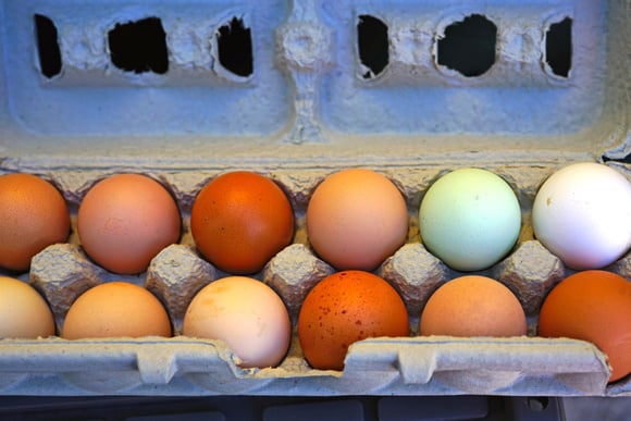 Pourquoi la couleur des oeufs change-t-elle en fonction des pays ?