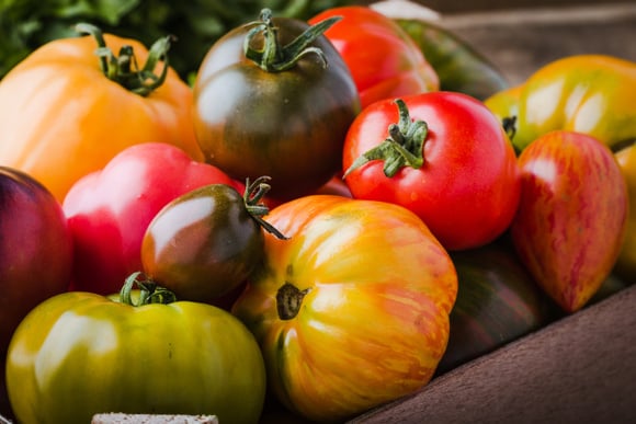 Congeler les tomates : les méthodes à connaître pour en profiter toute l’année