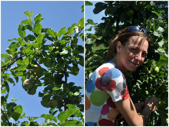 Fanny et Jean-Philippe Podevin, producteurs de pommes dans le Nord