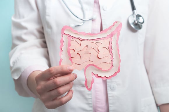 Voici les aliments que ces gastro-entérologues évitent au maximum pour avoir une bonne santé intestinale