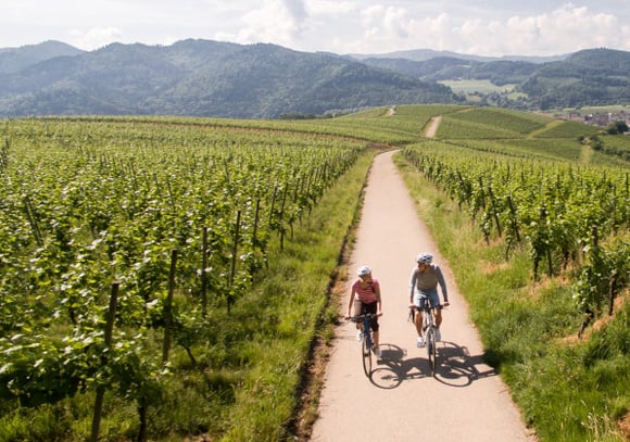 Les amateurs de vins vont adorer cette destination originale, parfaite pour cet automne