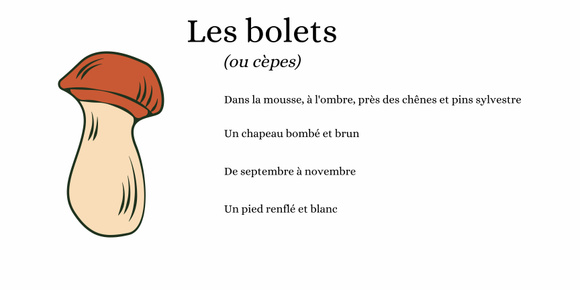Champignons : comment savoir s'ils sont toxiques ? Canva
