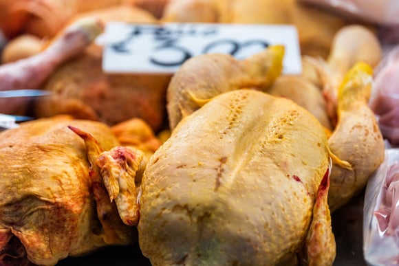 Comment choisir un bon chapon ? Adobestock