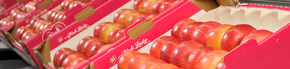 5 bonnes raisons de manger des Pink Lady®