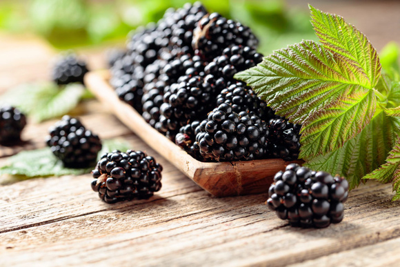 Ces 5 aliments violets à découvrir sans tarder