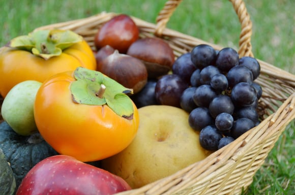 Que manger de bon en octobre ? (à part des courges)