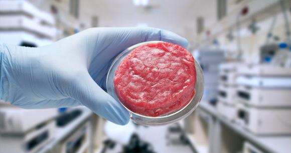 Viande artificielle de culture. Adobestock