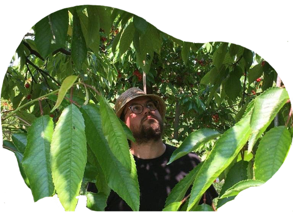 Comment ce globetrotteur veut révolutionner le marché du cidre fermier ?