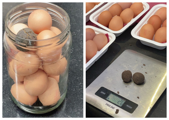 A droite : 2 truffes pour un total de 20 g / Pascale Weeks