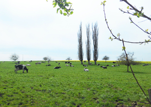 La ferme des Peupliers