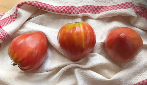 Ne gâchez plus votre été grâce à ces astuces pour faire votre meilleure tarte à la tomate