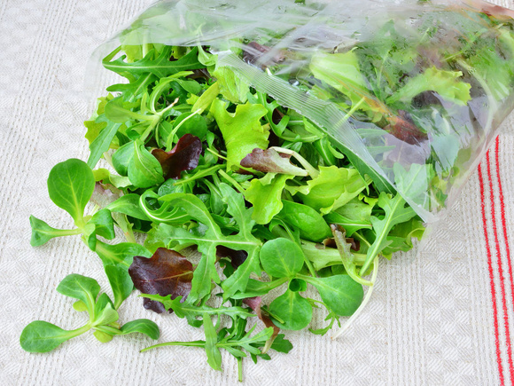 Les salades en sachet : un enjeu écologique et économique. Adobestock
