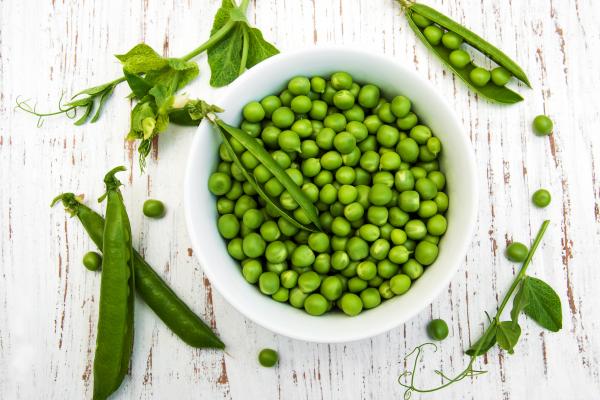 Petit Pois Ingrédient Tout Savoir Sur Petit Pois 750g