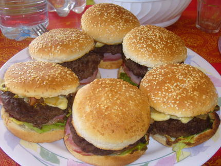 Recette Hamburger Maison Sauce Speciale 750g