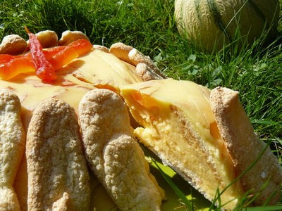 Recette Charlotte Au Melon 750g