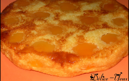 Recette Le Moelleux Leger Aux Abricots En Video