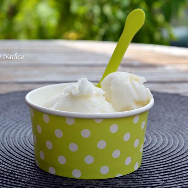 Recette Sorbet Au Citron Jaune Et Citron Vert 750g