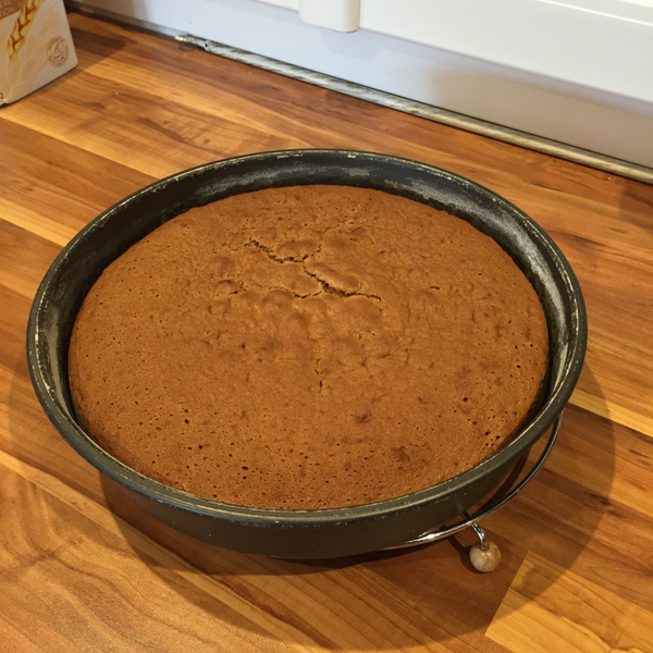 Recette Gateau Au Chocolat Au Companion En Video
