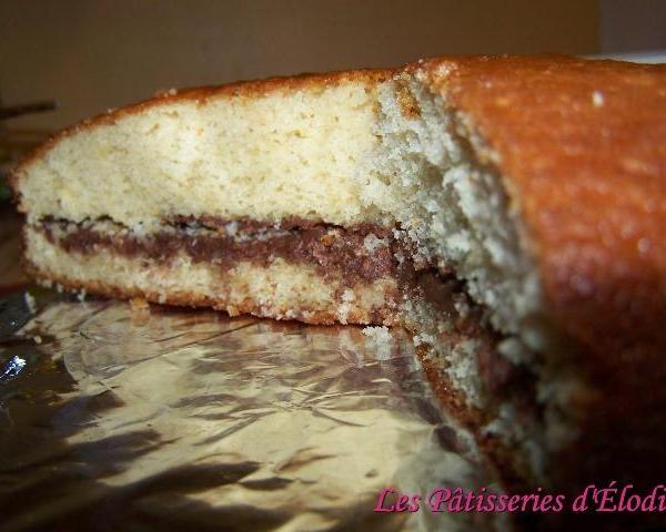 Recette Gateau Au Yaourt Amandes Et Nutella 750g