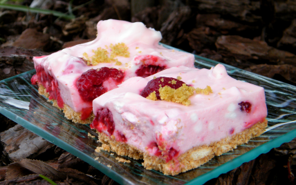 Recette Carres Sans Cuisson Framboises Citron Chamallows 750g