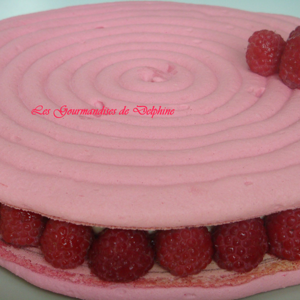 Recette Macaron Geant Mascarpone Framboise Et Macarons Framboise En Video