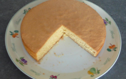 Recette Gateau Picard 750g