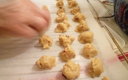 Recette Croquants De L Ecureuil 750g