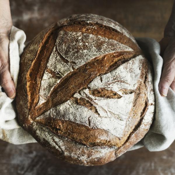 Pratique. Levure de boulanger fraîche ou sèche : laquelle