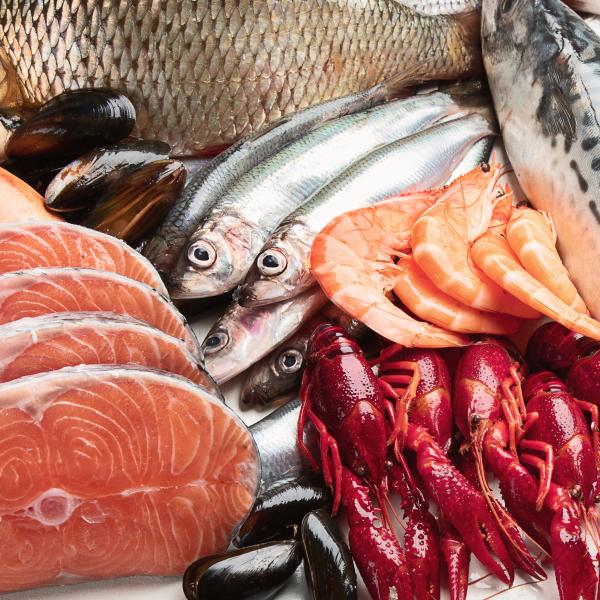Le poisson est-il bon pour votre santé ?