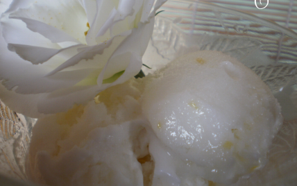 Recette Sorbet Au Citron 750g