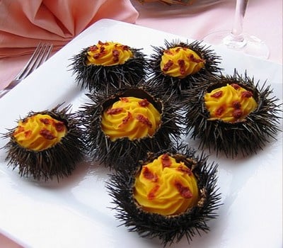 Recette Manureva D Oursins En Video