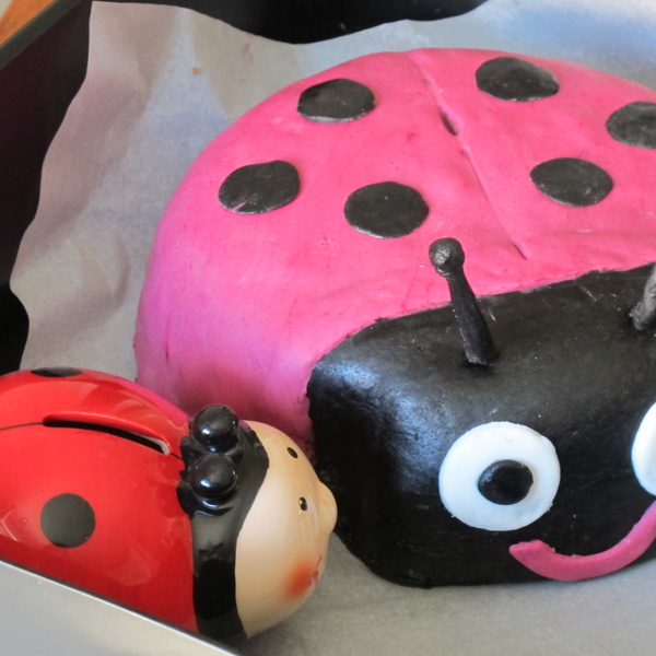 Recette Gateau Coccinelle 3d 750g