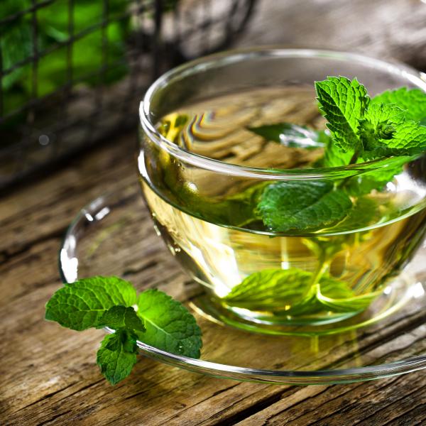 Les secrets du véritable thé marocain à la menthe : recette et bienfaits