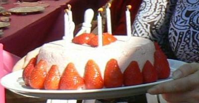 Recette Gateau Aux Fraises Facile 750g