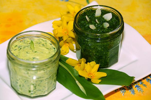 Recette Pesto Et Beurre A L Ail Des Ours 750g