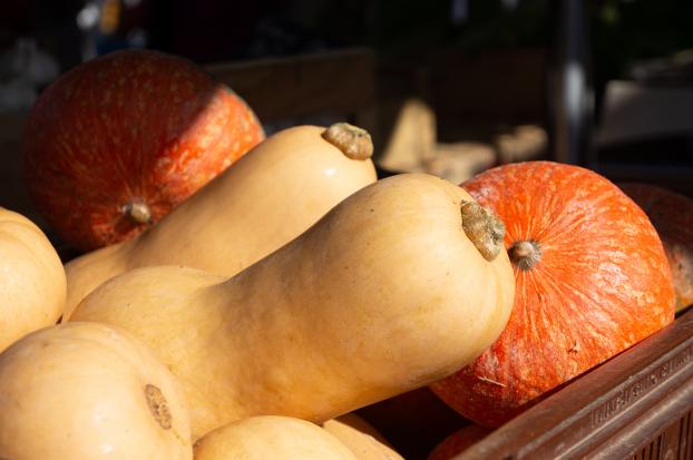 Potimarron, butternut, peut-on mettre ses courges au frigo pour les conserver plus longtemps ?