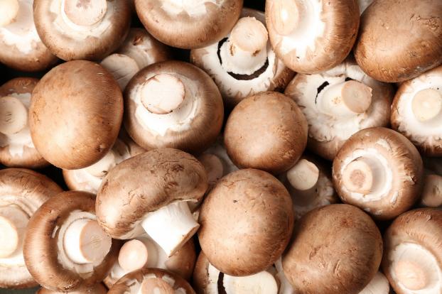 Champignons de Paris : faut-il les éplucher avant de les consommer ?