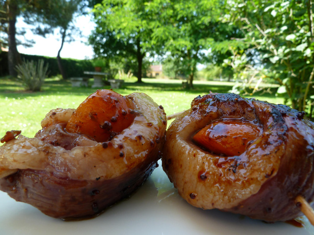 Recette - Brochettes de magret de canard aux abricots à griller | 750g