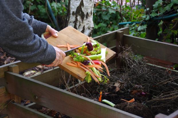 Compost maison : quels sont les aliments à privilégier pour accélérer la décomposition ?