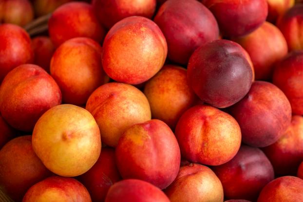 Voici pourquoi il est plus judicieux de choisir des nectarines imparfaites sur les étals !