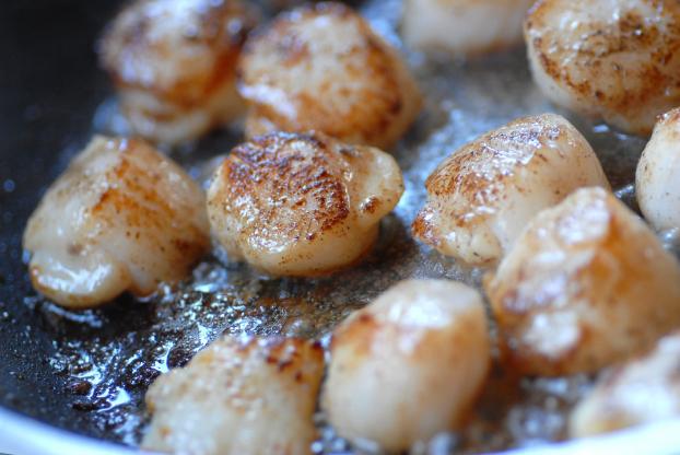 "Pour moi ça reste la cuisson parfaite" : un Meilleur Ouvrier de France nous partage ses conseils pour cuire parfaitement les Saint-Jacques !