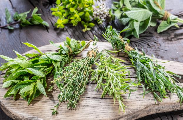 Menthe, persil, coriandre :  cette diététicienne dévoile "le secret pour garder les herbes fraîches" plus longtemps !