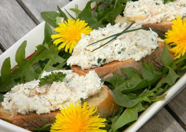 Rillettes De Poulet Aux Fines Herbes